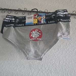 Warner Bros. Gray 3pk Hipsters